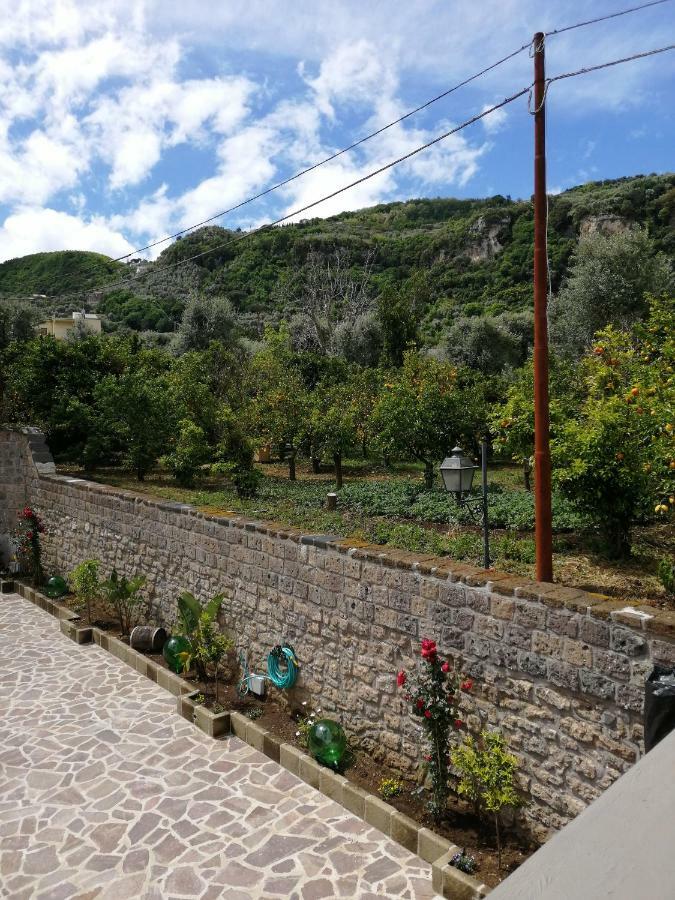 B&B Mario Relais Sorrento Ngoại thất bức ảnh